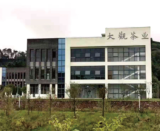 大观茶业
